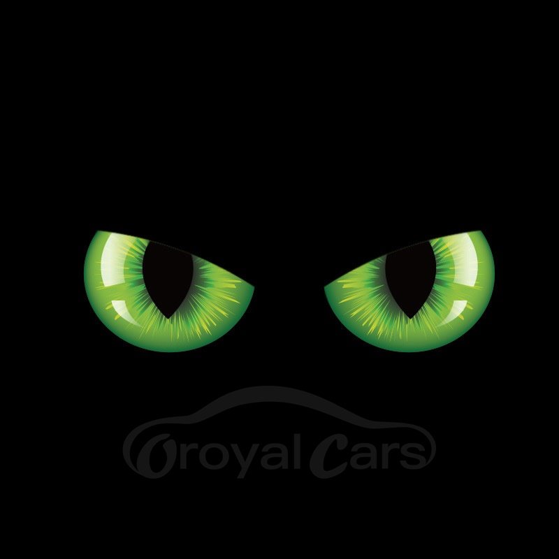 Creative Realistic Cat-eye Waterproof Scratch Proof Car Sticker